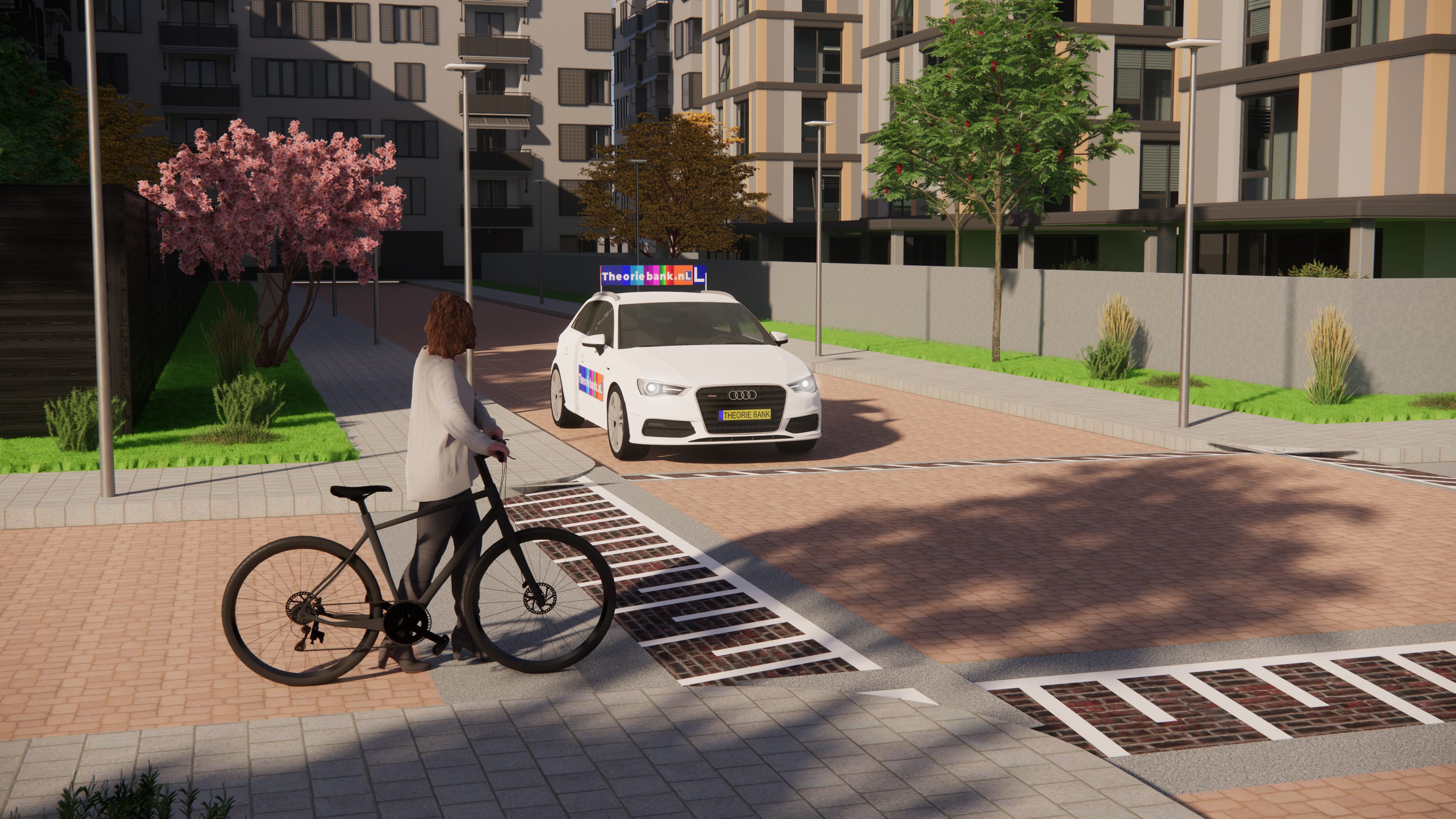 Amsterdam en Omgeving